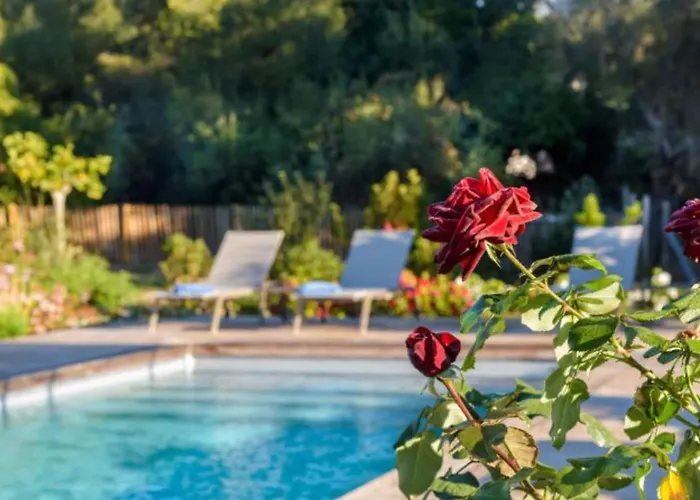 Villa Les Oliviers Di Lecci