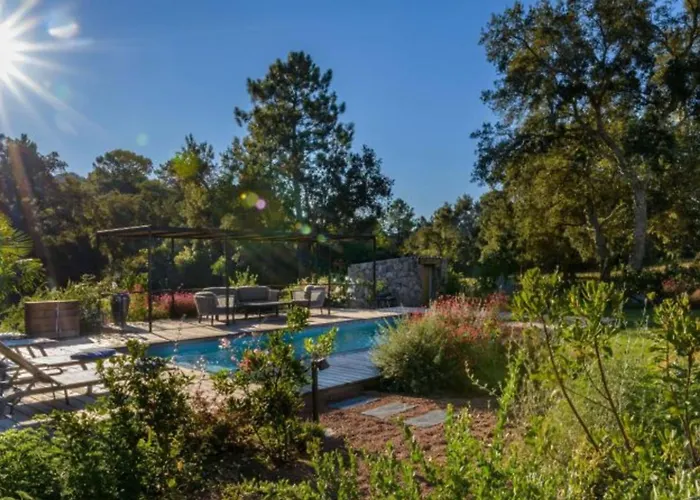 Les Oliviers Di Villa