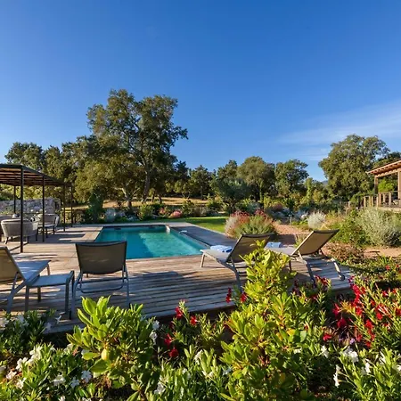 Les Oliviers Villa Lecci