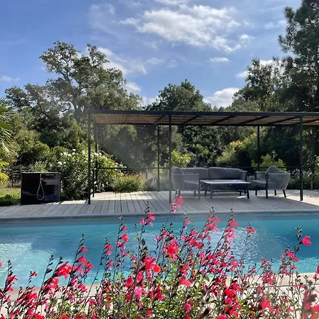 Villa Les Oliviers Lecci