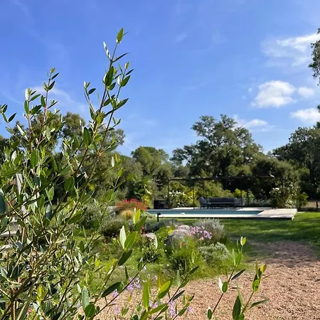 Villa Les Oliviers Lecci